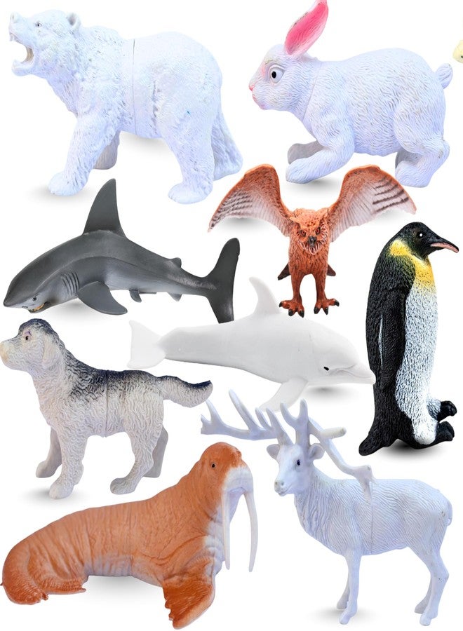 MALLEXO Attractive Arctic Animal Toys for Kids 3+ | Realistic 10 PCs Ocean | Jungle Animals Toy Figure for Boys and Girls Birthday Gifts for Children Educational & Decor Item Shark, Whale, Janwar Toys - Image 1